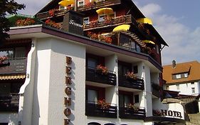 Panoramahotel Berghof