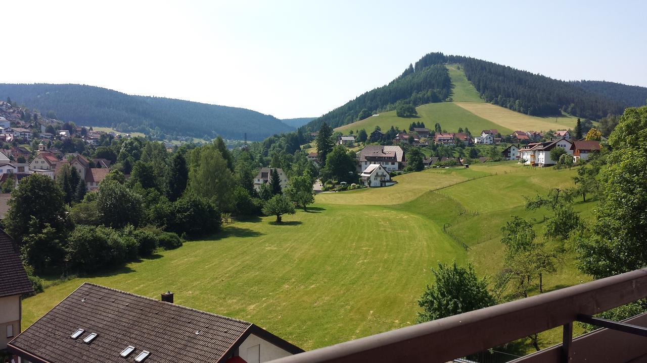 Panoramahotel Berghof Baiersbronn Extérieur photo